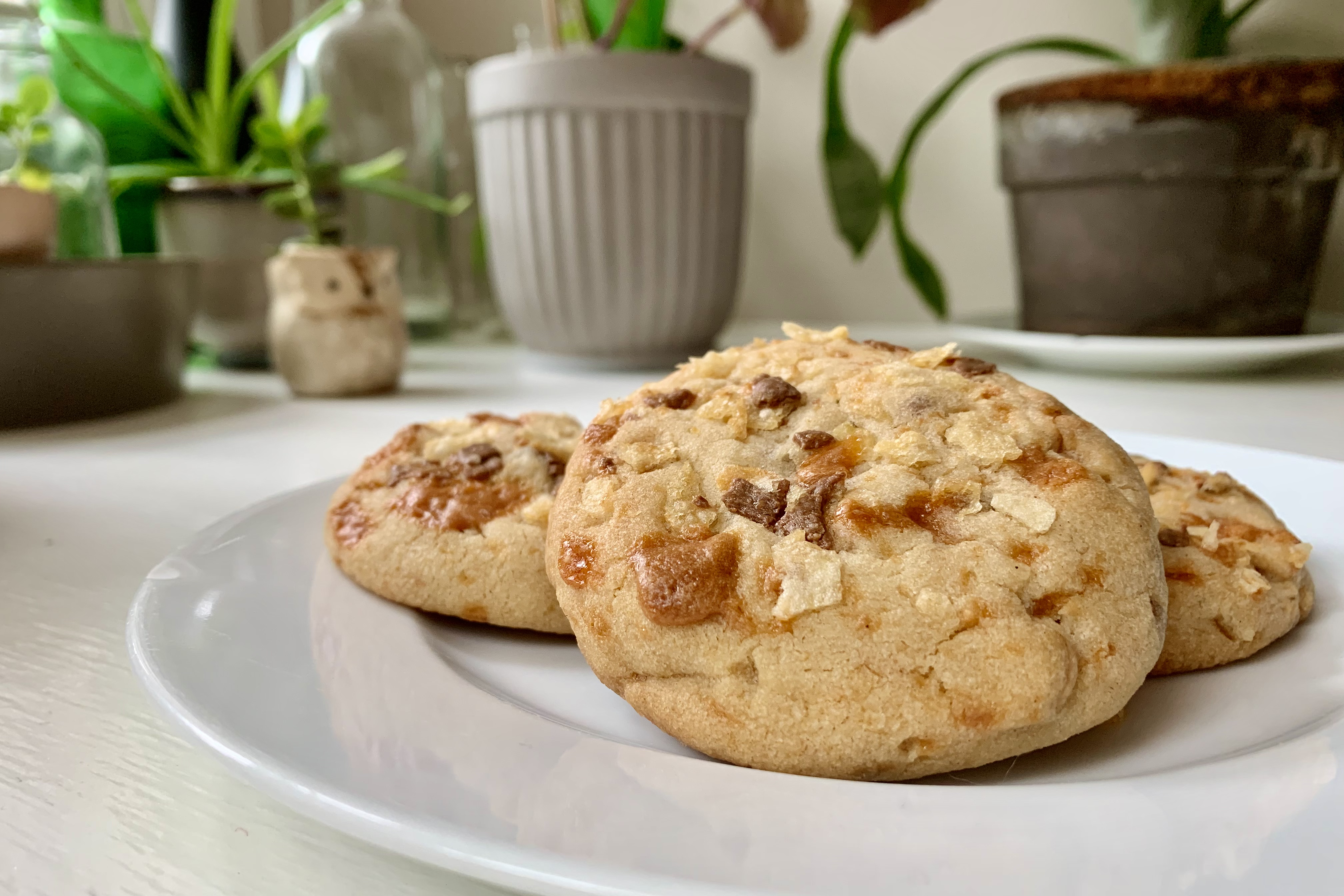 SEP 16 Picnic Cookies